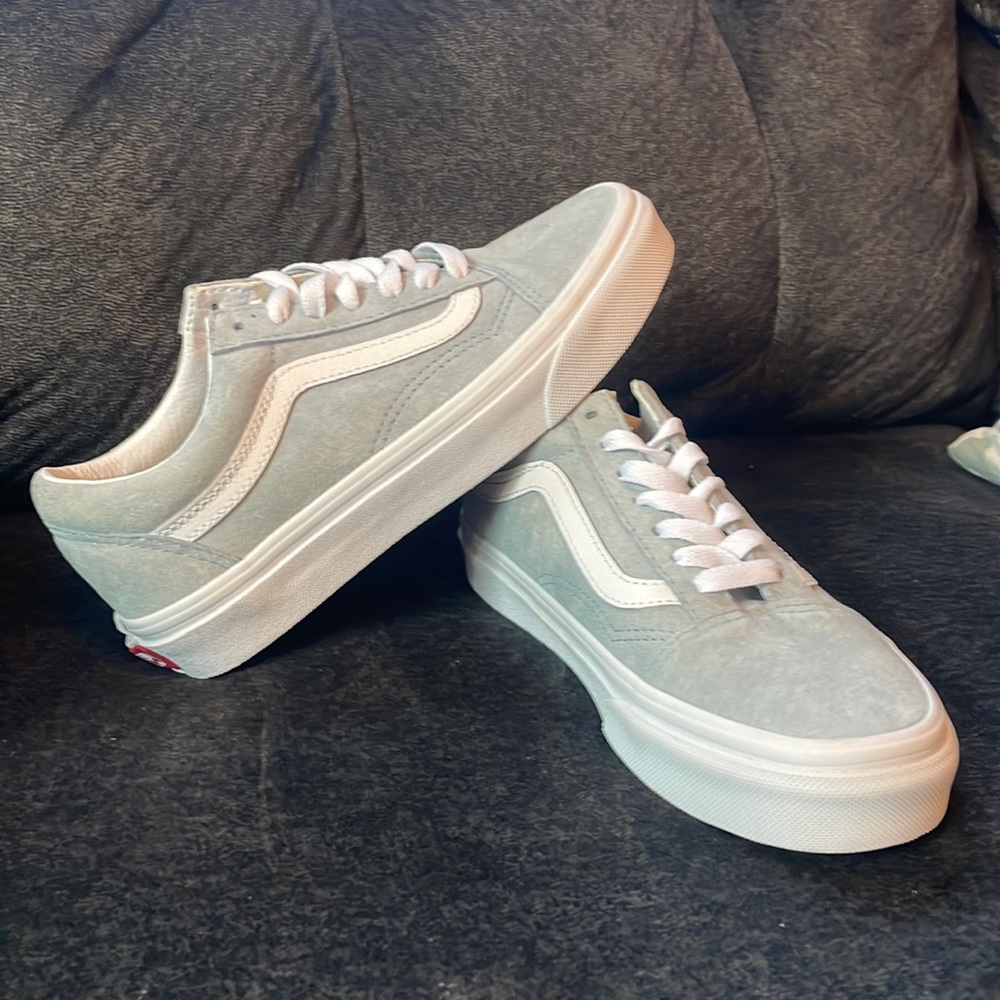 Brand New old School Vans